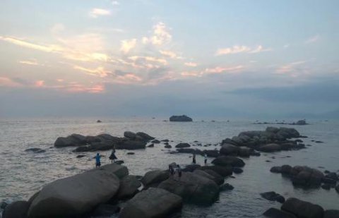 星欧娱乐：新的经营模式应当立足在商业模式之上